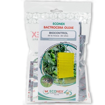 envase de 20 unidades