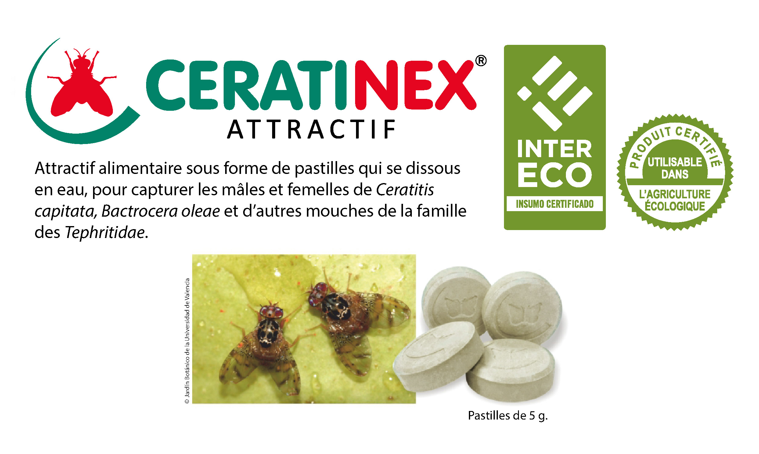 CERATINEX® ATRAYENTE